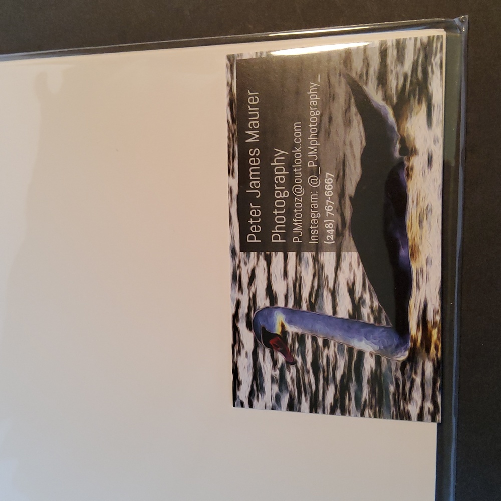 Butterfly print 15/250 Peter James Maurer - Picture 7 of 8